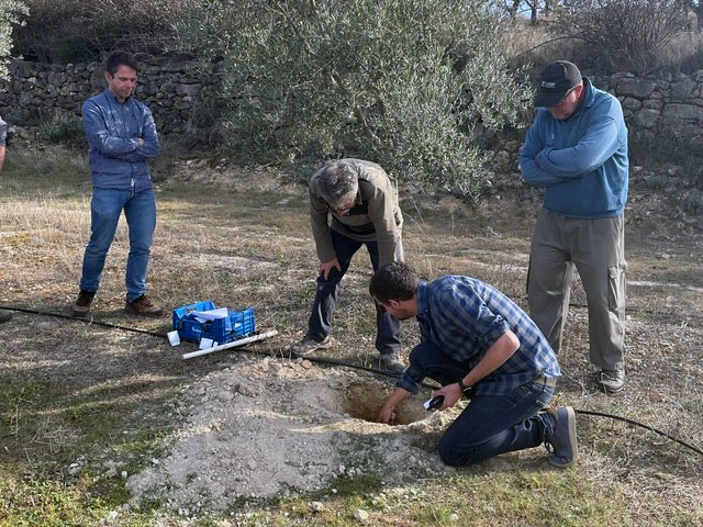 El riego subterráneo ahorra un 20% de agua en el olivar