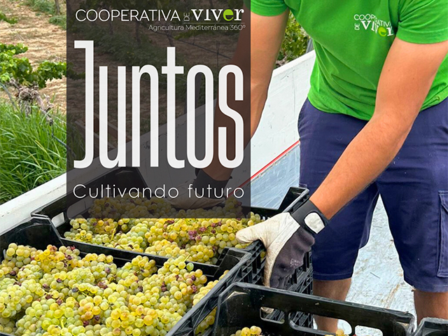 Llega el número de otoño de Juntos, el boletín de la coop