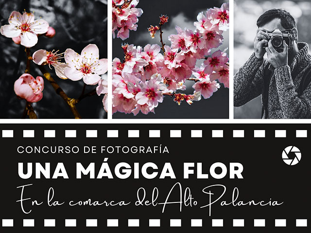 Concurso de fotografía una mágica flor en la comarca del alto palancia de la Cooperativa de Viver