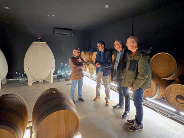 Conseller de agricultura miguel barrachina en la bodega de la cooperativa de viver