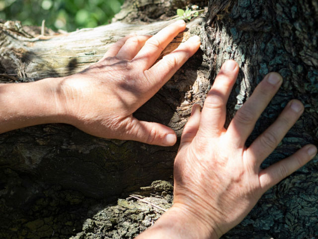 Cooperativismo agroalimentario: pilar del desarrollo rural